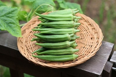 Đậu bắp: Đẹp da, tốt cho thận, chống ung thư tuyệt vời - ảnh 2