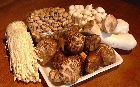 Những món ăn quen thuộc của người Việt thành 'thuốc độc' khi đun lại - ảnh 3