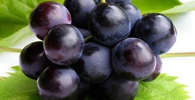 Những thực phẩm 'đại kỵ' cực nguy hiểm nếu ăn khi đau đầu - ảnh 2