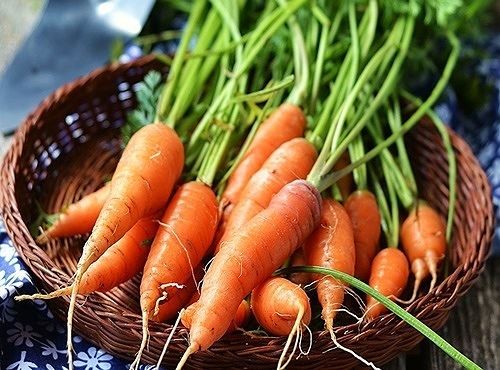 Những nguyên nhân không ngờ gây rụng tóc - ảnh 2