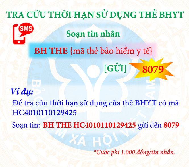 Tra cứu mức hưởng BHYT, BHXH chỉ bằng tin nhắn - ảnh 2
