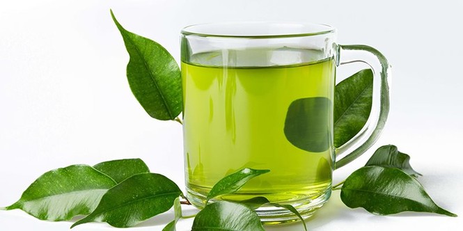'Thần dược' từ thiên nhiên rẻ bèo cho da đẹp mịn màng - ảnh 3