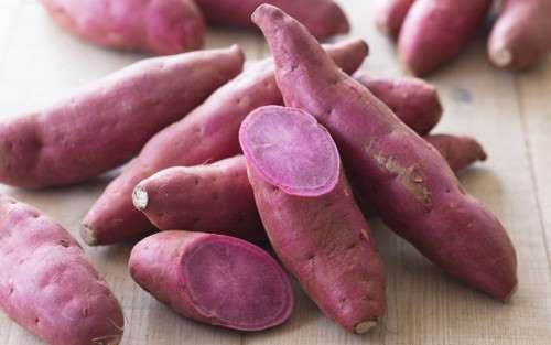 Ăn khoai lang buổi sáng tốt như 'thần dược', chữa nhiều bệnh nguy hiểm - ảnh 3