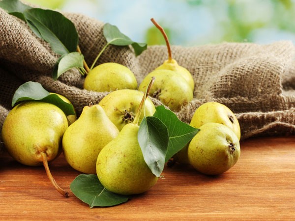 Rau dền thành 'thuốc độc' nếu ăn theo cách này - ảnh 1