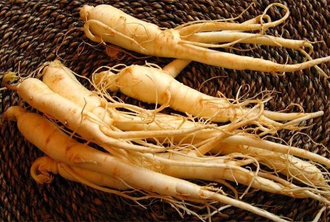 Không muốn nhân sâm thành 'thuốc độc', thì đừng ăn theo cách này - ảnh 1