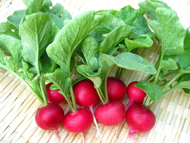 Những loại nước ép từ thiên nhiên giá rẻ bèo, giải độc gan cực tốt - ảnh 1