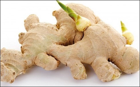 Những loại củ mọc mầm cực độc, biết mà tránh kẻo 'tàn đời' - ảnh 1