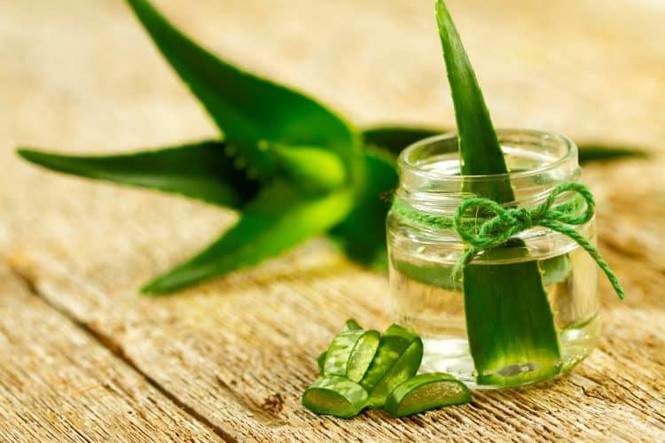 Những loại rau là 'thần dược' cho người bị đau dạ dày - ảnh 2