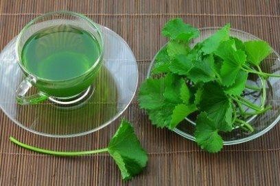 Rau má: Cực tốt và cực độc, biết mà tránh khi ăn kẻo mang họa vào thân - ảnh 2