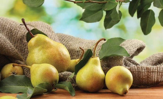 Những loại trái cây siêu tốt và cực độc với người thận yếu - ảnh 1