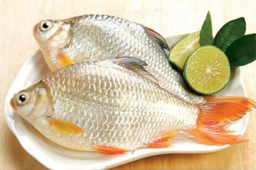 Tỏi: Cực tốt và cực độc, biết những đại kỵ này khi ăn để khỏi mang họa vào thân - ảnh 3