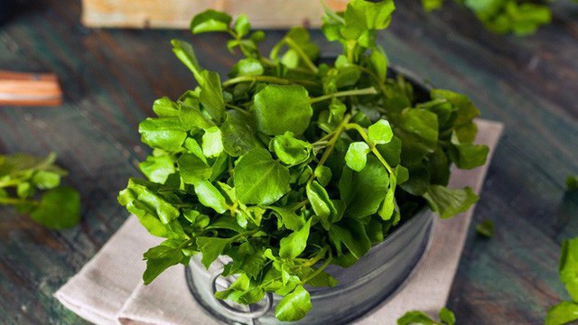 Không ngờ cải xoong chống được ung thư, còn chữa đủ bệnh cực hiệu quả - ảnh 6 Không ngờ cải xoong chống được ung thư, còn chữa đủ bệnh cực hiệu quả - ảnh 6