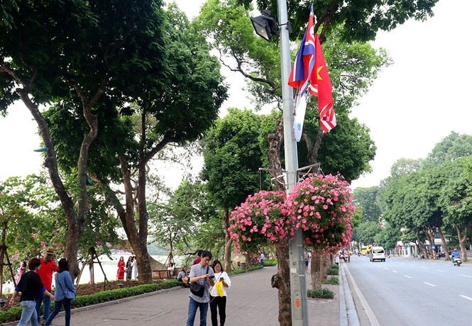 500 quốc kỳ Việt Nam - Mỹ - Triều Tiên trang hoàng Thủ Đô - ảnh 10