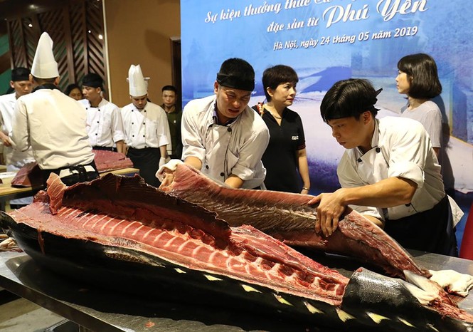 Đầu bếp Hà thành hì hục mổ cá ngừ vây xanh khủng, nặng 200kg - ảnh 5