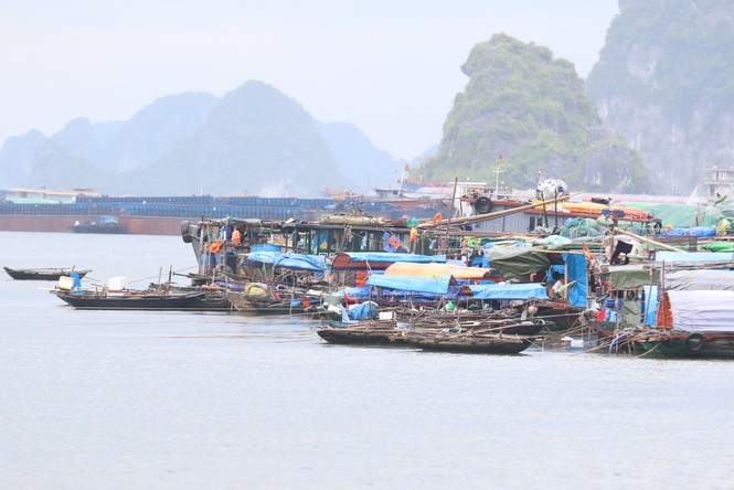 Bão số 2 áp sát đất liền, tàu thuyền Quảng Ninh cấp tập vào bến - ảnh 5