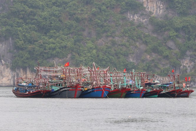 Bão số 2 áp sát đất liền, tàu thuyền Quảng Ninh cấp tập vào bến - ảnh 4