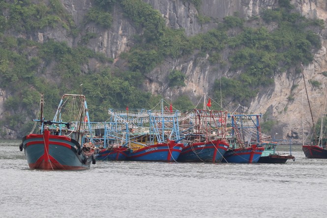 Bão số 2 áp sát đất liền, tàu thuyền Quảng Ninh cấp tập vào bến - ảnh 3