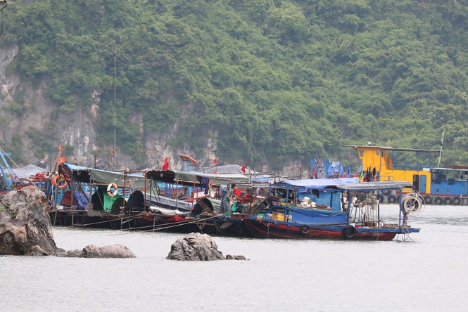 Bão số 2 áp sát đất liền, tàu thuyền Quảng Ninh cấp tập vào bến - ảnh 2