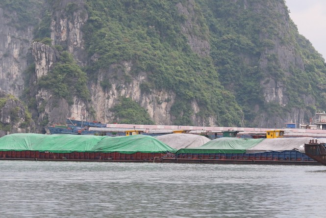 Bão số 2 áp sát đất liền, tàu thuyền Quảng Ninh cấp tập vào bến - ảnh 8