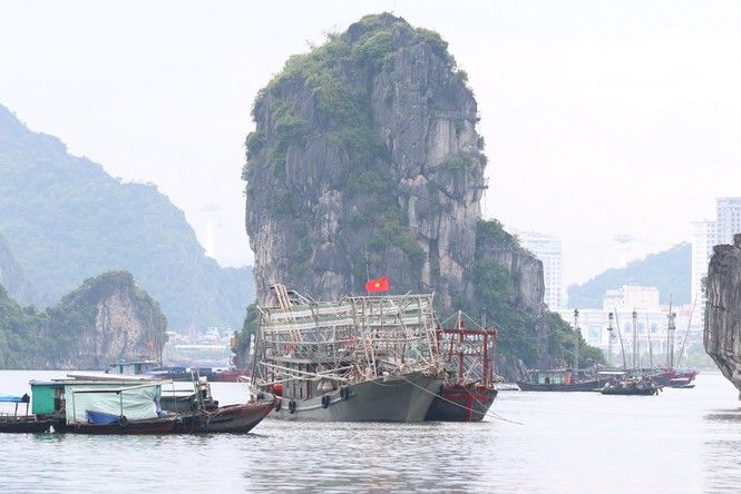 Bão số 2 áp sát đất liền, tàu thuyền Quảng Ninh cấp tập vào bến - ảnh 7