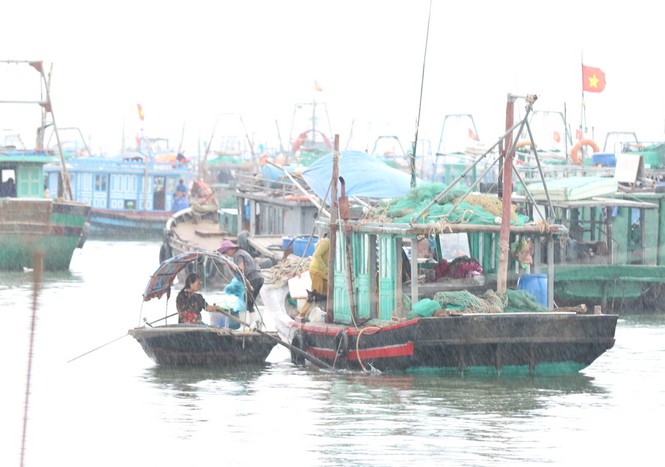 Bão số 2 áp sát đất liền, tàu thuyền Quảng Ninh cấp tập vào bến - ảnh 9