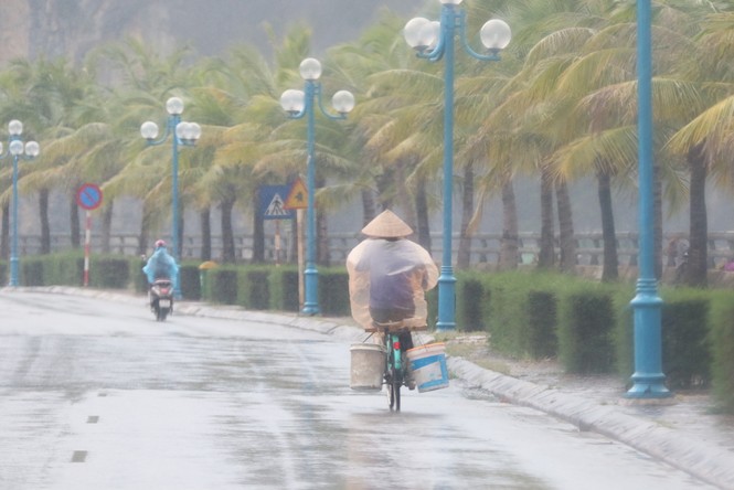 Bão số 2 áp sát đất liền, tàu thuyền Quảng Ninh cấp tập vào bến - ảnh 11
