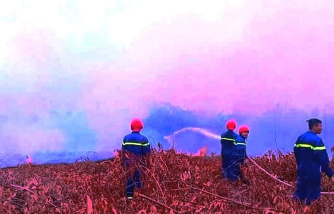 Cháy dữ dội trong khuôn viên trường bắn quân sự - ảnh 3