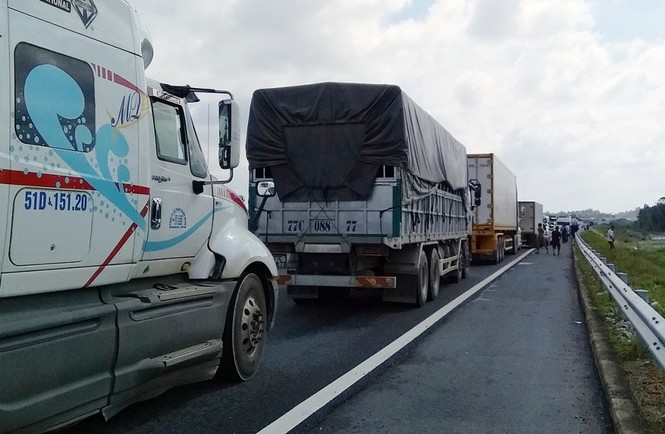 Lật xe chở cá trên cao tốc Đà Nẵng - Quảng Ngãi - ảnh 2