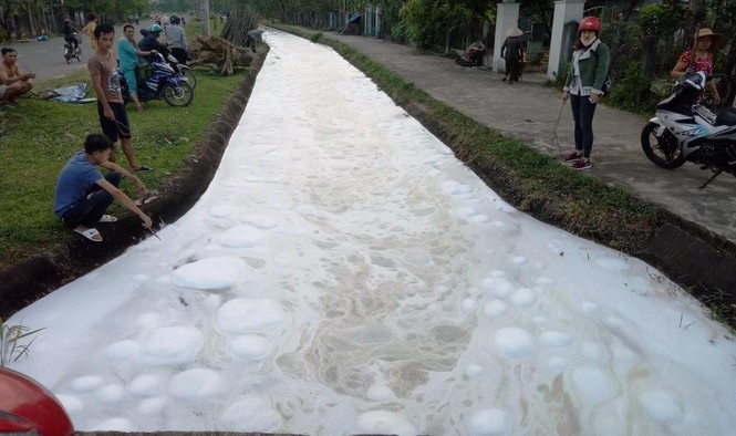 Nước nổi bọt. trắng, cá chết ở Quảng Nam do bị đổ hóa chất không rõ nguồn gốc - ảnh 1