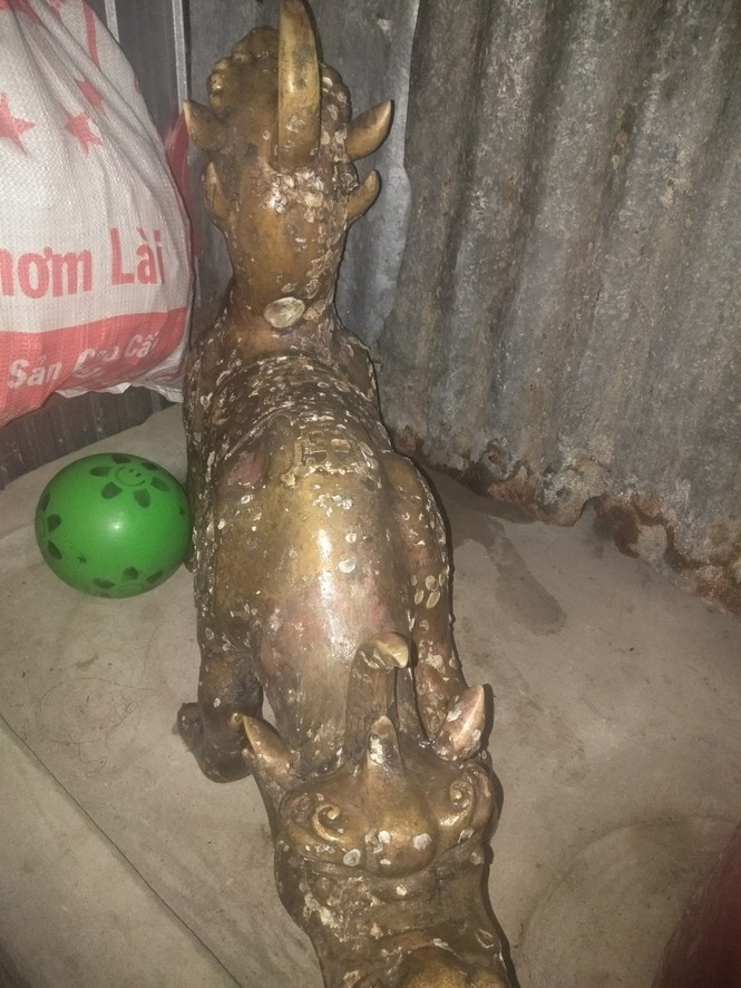 Nhiều nghi vấn về tượng 'quái thú 2 đầu' vớt ở bãi biển Cà Mau - ảnh 4