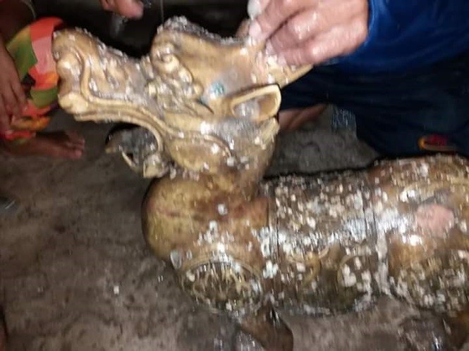 Mang 'quái thú 2 đầu' ở biển Cà Mau đi giám định tại... tiệm vàng - ảnh 1