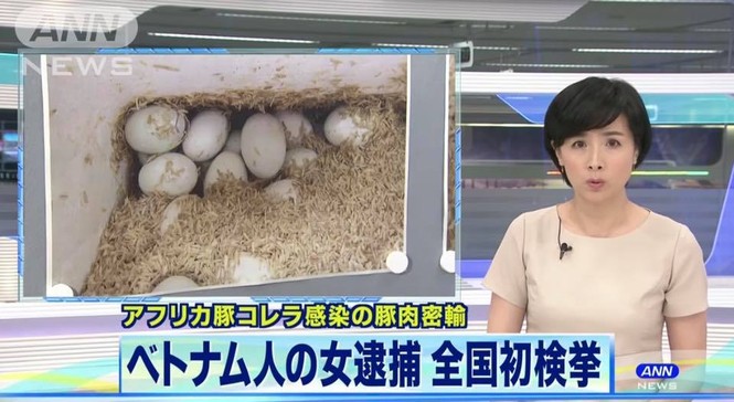 Nữ sinh Việt bị bắt vì mang nem chua chứa virus tả lợn vào Nhật Bản - ảnh 2