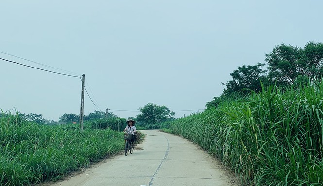 Làng 'vàng trắng' tỷ phú ven sông Hồng, 1 năm chia nhau 400 tỷ - ảnh 1