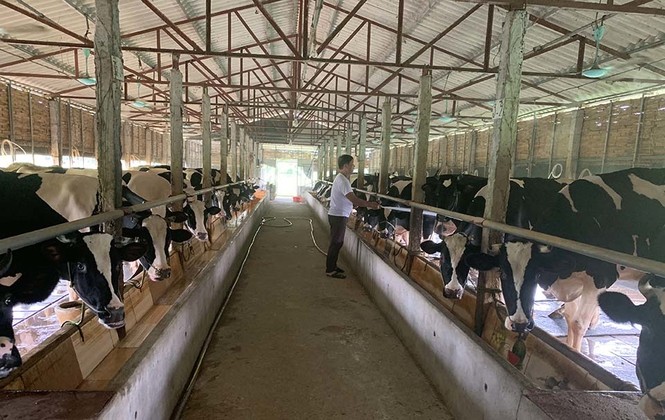 Làng 'vàng trắng' tỷ phú ven sông Hồng, 1 năm chia nhau 400 tỷ - ảnh 2