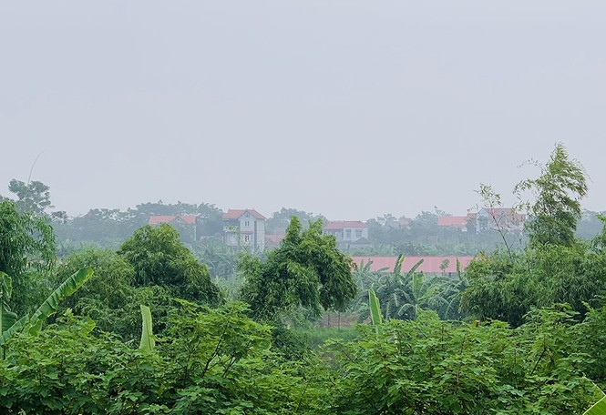 Làng 'vàng trắng' tỷ phú ven sông Hồng, 1 năm chia nhau 400 tỷ - ảnh 4