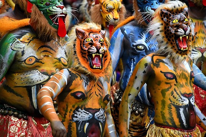 Độc đáo màn múa hổ của người Ấn Độ - ảnh 1