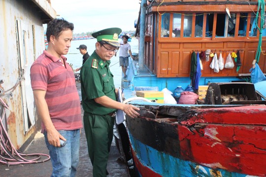 Tàu cá Quảng Ngãi bị đâm và cướp ngư cụ ở Hoàng Sa - ảnh 1