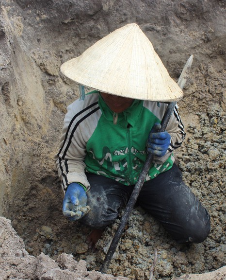 Phú Yên - “sốt” đào đá đen 4 triệu đồng/kg - ảnh 3