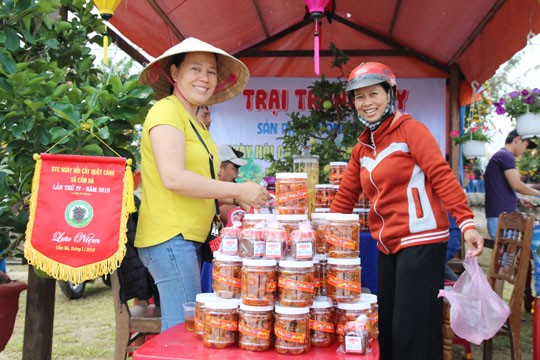 Du Xuân cùng Quật cảnh Hội An - ảnh 5