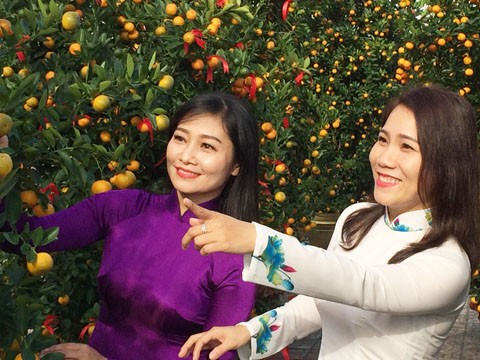 Du Xuân cùng Quật cảnh Hội An - ảnh 3
