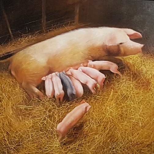 Ngắm “ủn ỉn” trong Sắc xuân Kỷ Hợi 2019 - ảnh 3