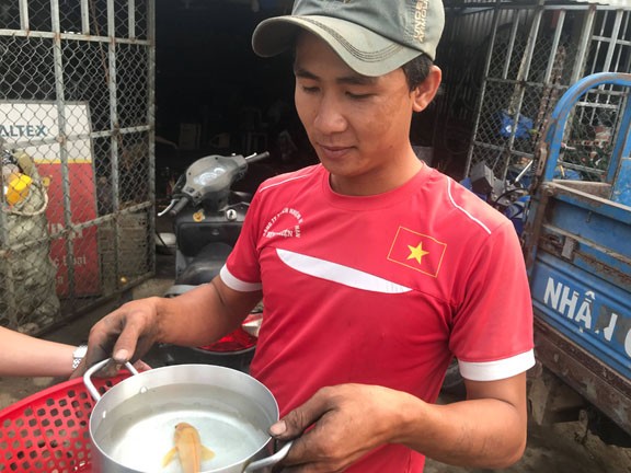 Quảng Ngãi: Bắt được cá rô đồng có màu vàng lạ - ảnh 1