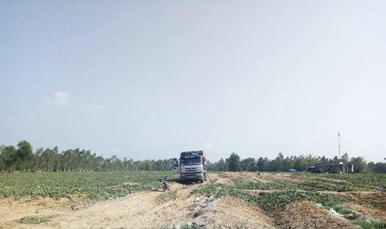 Bình Định: Bị “phơi nắng” dưa hấu không cho xuất bán vì...nợ tiền vay thuê đất - ảnh 1