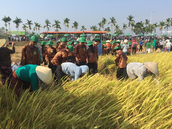 Sôi động tuổi thơ với lễ hội ngày mùa trên đồng ruộng - ảnh 4