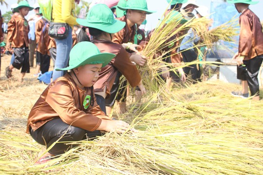 Sôi động tuổi thơ với lễ hội ngày mùa trên đồng ruộng - ảnh 5