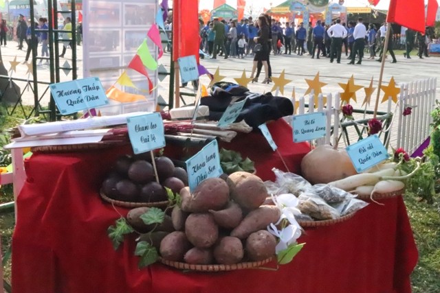 Sôi nổi hội trại Xuân biên giới của tuổi trẻ Cao Bằng - ảnh 7
