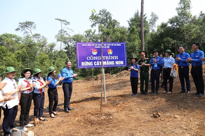 Hà Nội phát động Chiến dịch Thanh niên tình nguyện Hè 2019 - ảnh 4