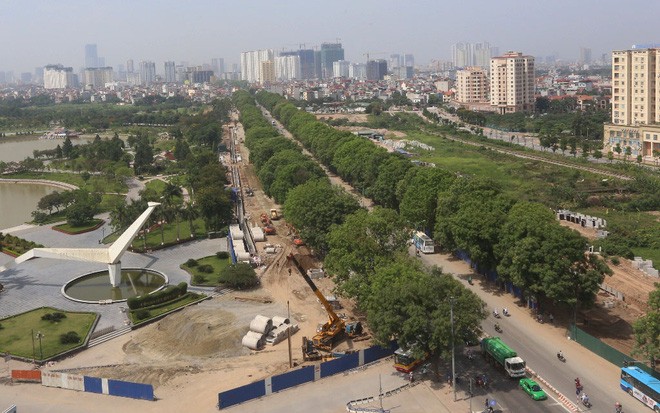 Bí thư Hà Nội: Chặt cây ai cũng tiếc, nhưng chẳng lẽ không làm gì? - ảnh 2