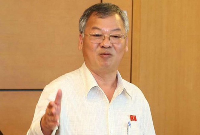 Trưởng đoàn đại biểu Quốc hội Đồng Nai bị kỷ luật sẽ thôi nhiệm vụ ra sao? - ảnh 2
