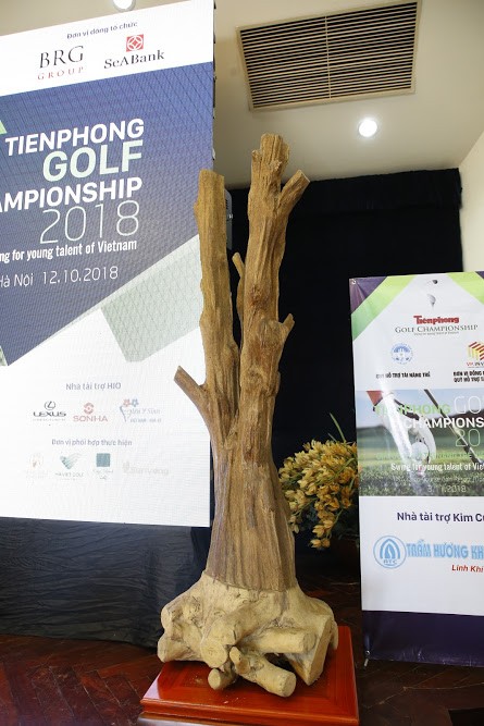Đấu giá cây trầm hương quý hiếm tại Tiền Phong Golf Championship 2018 - ảnh 2